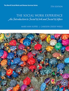The Social Work Experience A Case-Based Introduction to Social Work and Social Welfare 7th by Mary Ann Suppes